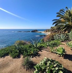 Meet your Posher, Elena